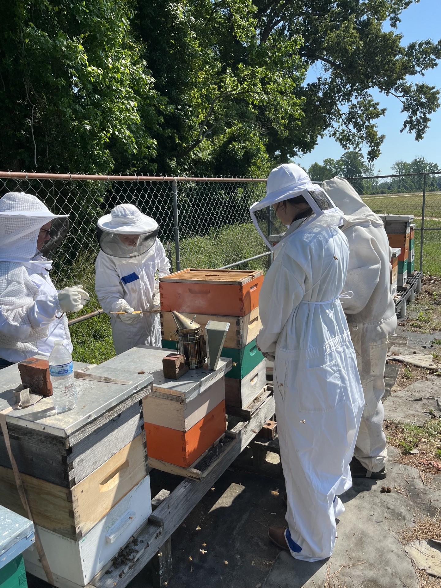 Beekeeping